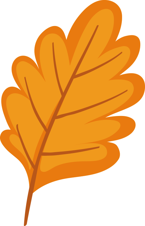 A Letter from Dromara Open Source Organization Participating in COSCon